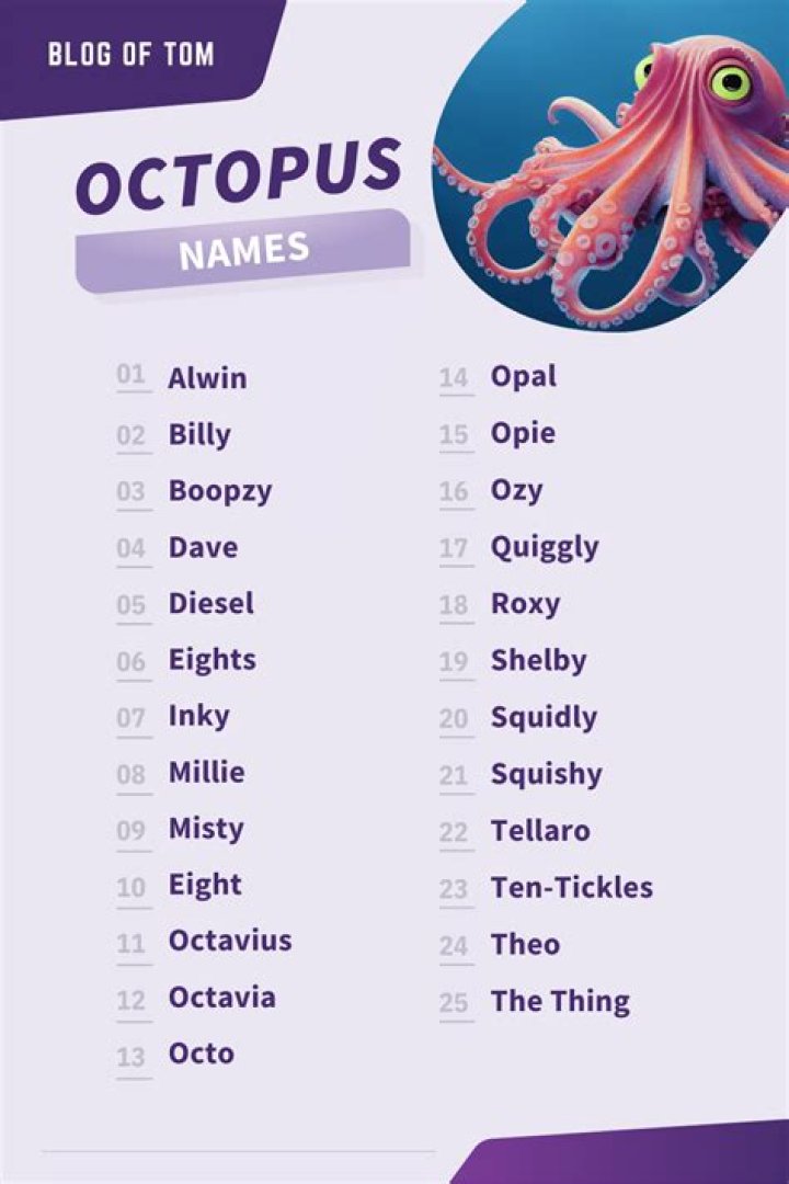 Which place is famous for octopus?