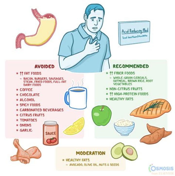 Which way does your stomach curve?