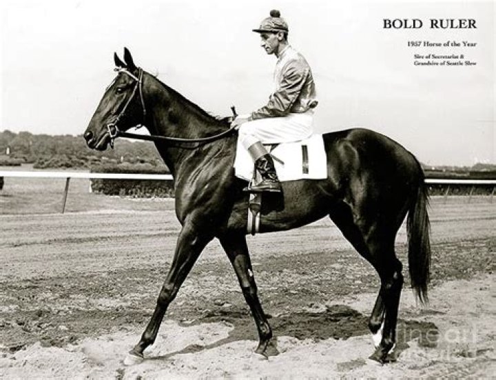 Who did Bold Ruler sire?