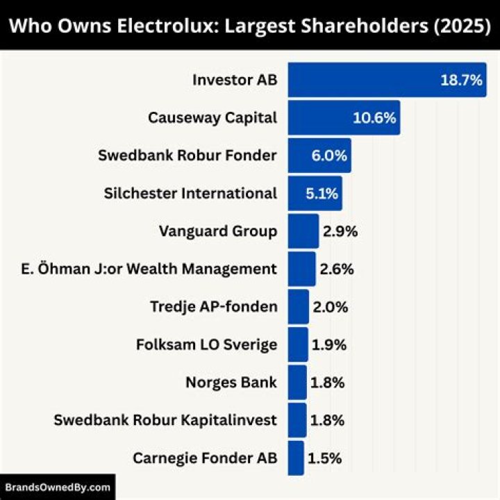 Who owns Electrolux?