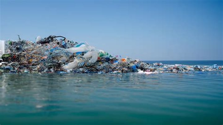 WHO published a plastic ocean?