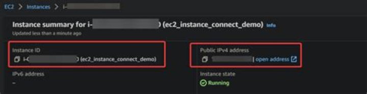 Why doesn't my ec2 instance have a public DNS?