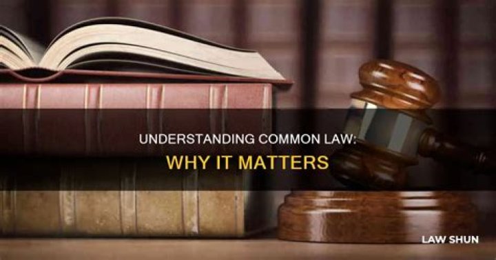 Why is common law important?