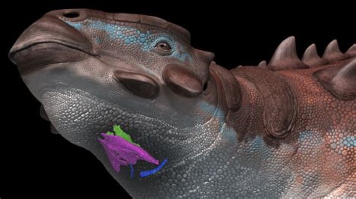 Why is it called a chef salad?