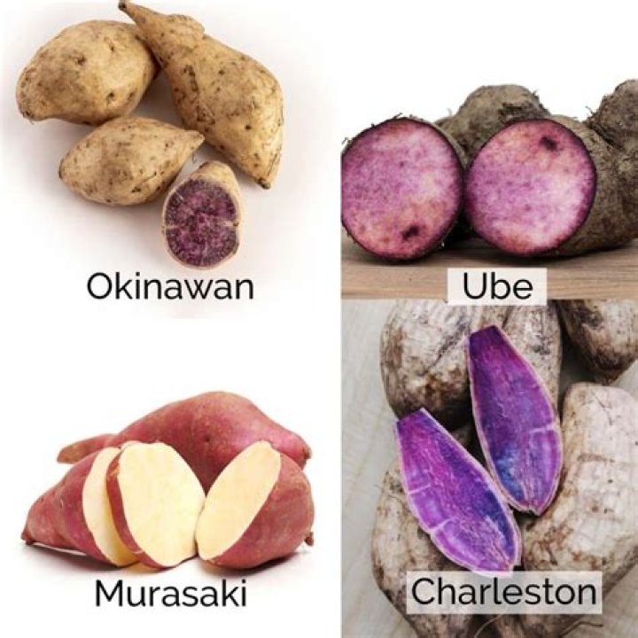 Why is it called a sweet potato?