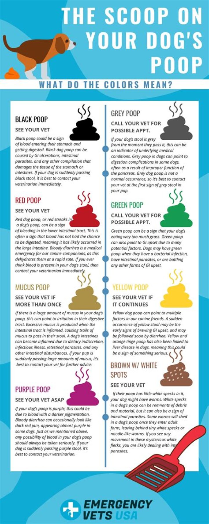 Why is my dog's poop GREY?