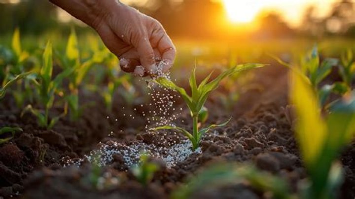 Why is potassium used in fertilizers?