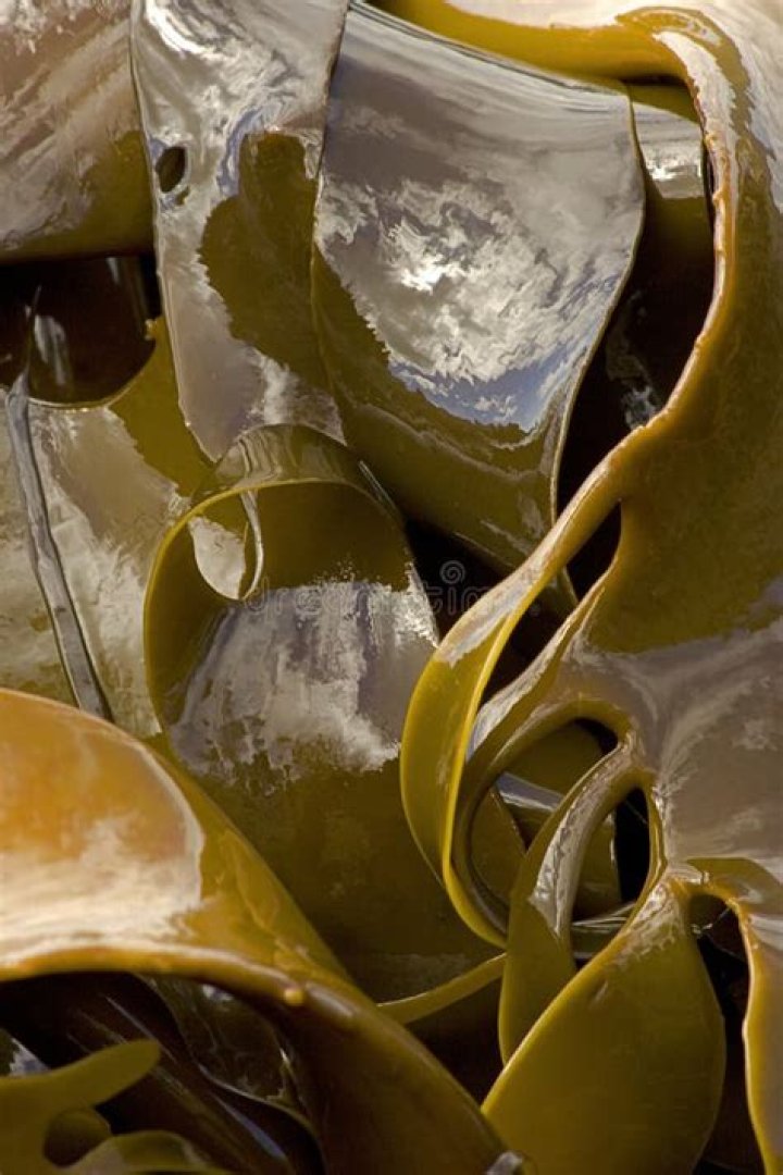 Why is seaweed slimy?