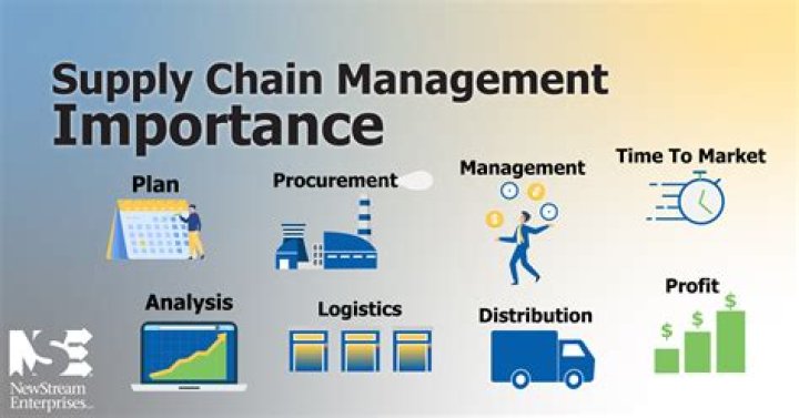 Why map supply chain processes and systems are important?
