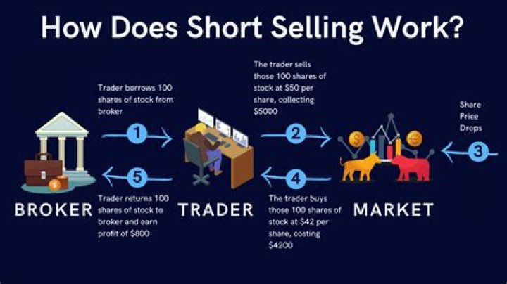 Why would someone do a short sale?