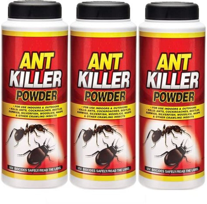 Will Ant Killer hurt my plants?
