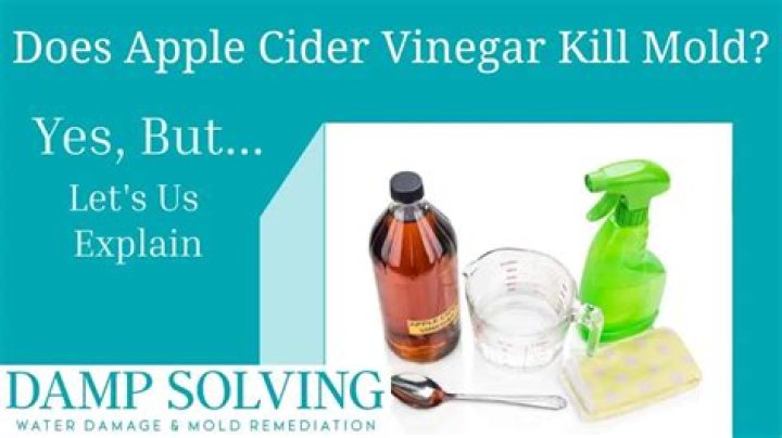 Will vinegar kill mildew?